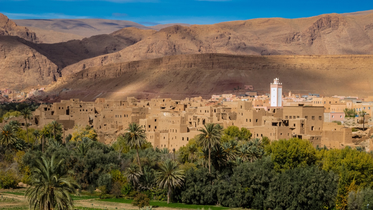 7 días por Marruecos desde Casablanca: ciudades imperiales y desierto